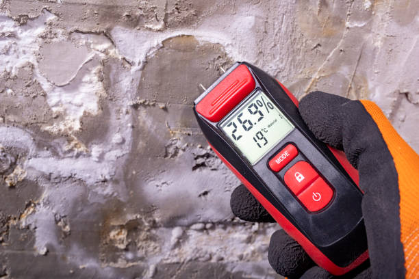 Best Mold Removal Near Me  in Pearland, TX