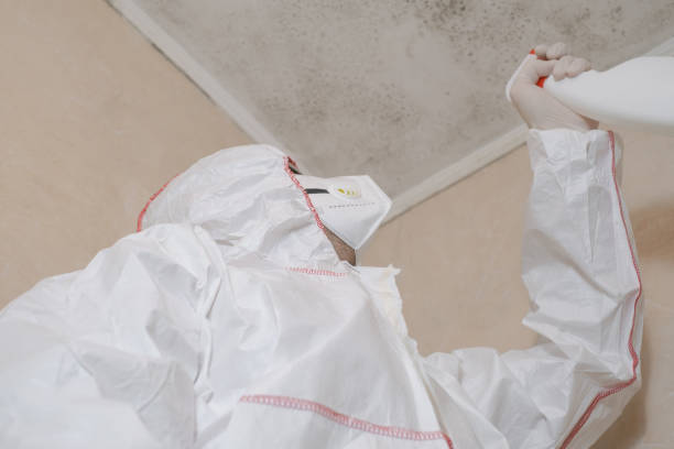 Best Professional Mold Removal  in Pearland, TX